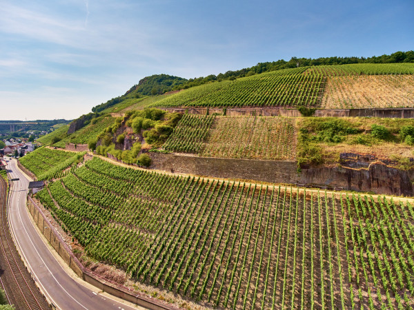 LANDSKRONE Masterclass by NELLES