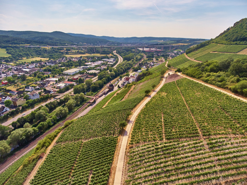 Pflege im Weinberg | Das Weingut | Weingut Nelles